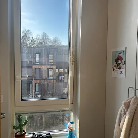 Lys, Koselig Og Familievennlig Oslo